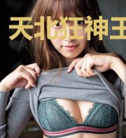 天北狂神王传世
