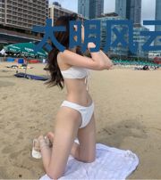 太明风云之风雨欲来