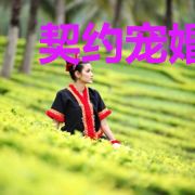 契约宠婚：叶总的意难平