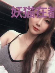 妖猫在都市