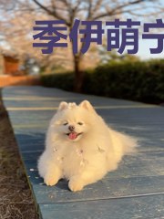 季伊萌宁景致