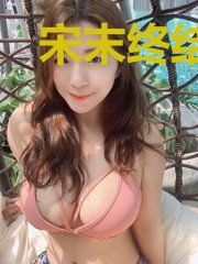 宋末终结者