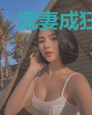宠妻成狂:闪婚总裁太霸道