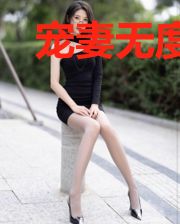 宠妻无度:哑妻有喜了