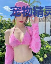 宠物精灵:不科学的御兽大师