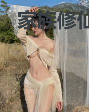 家族修仙:从金丹老祖开始