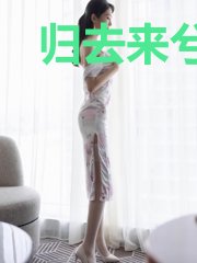 归去来兮如梦
