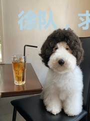 徐队，求抱抱