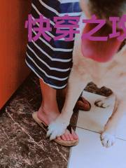 快穿之攻略注孤生男主