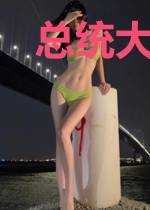 总统大人的萌宝甜妻