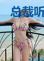 总裁听我的