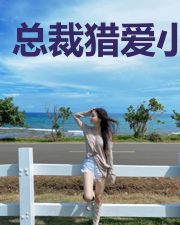 总裁猎爱小娇妻