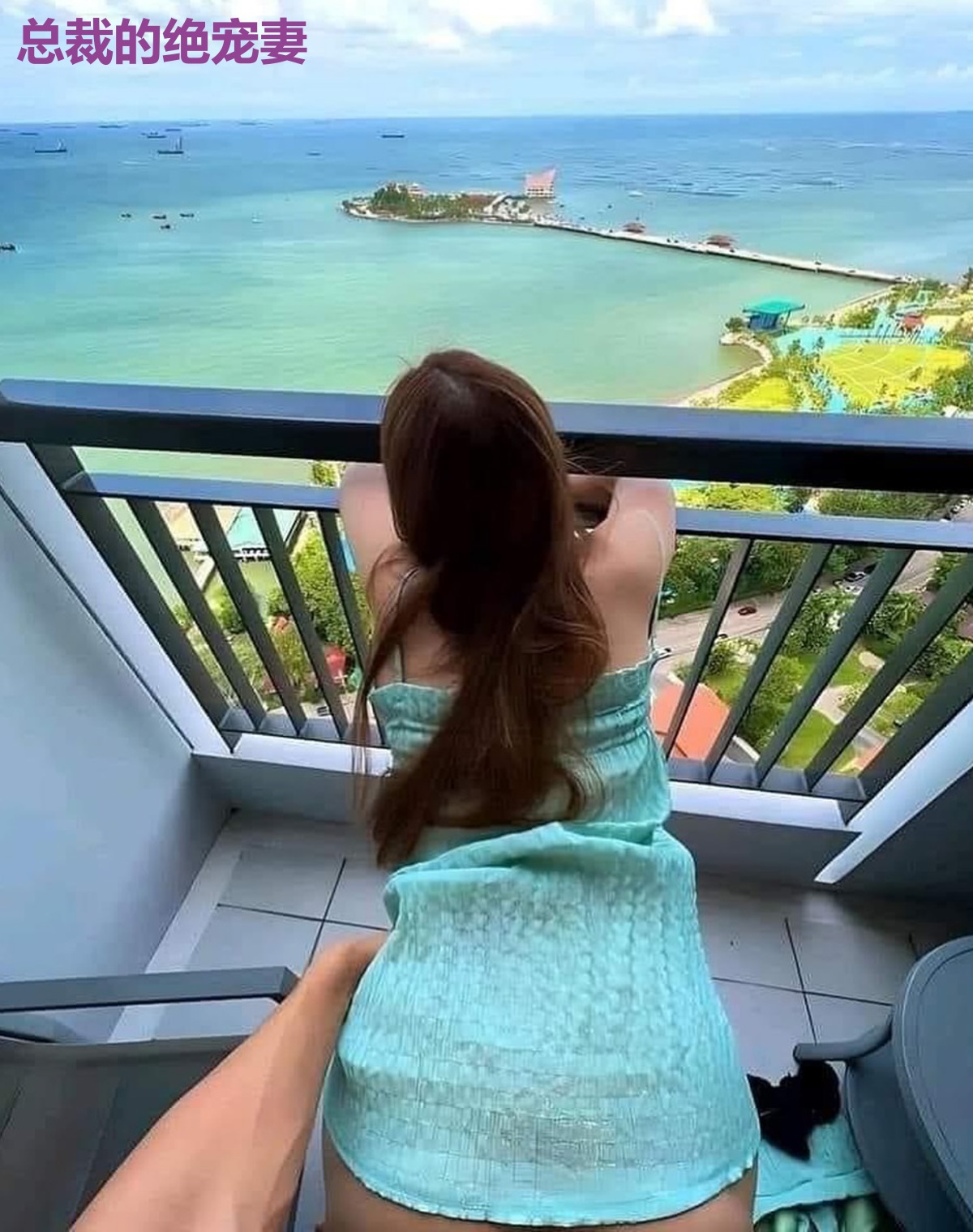 总裁的绝宠妻