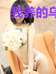 我养的乌龟是只妖