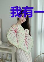 我有一张武学面板