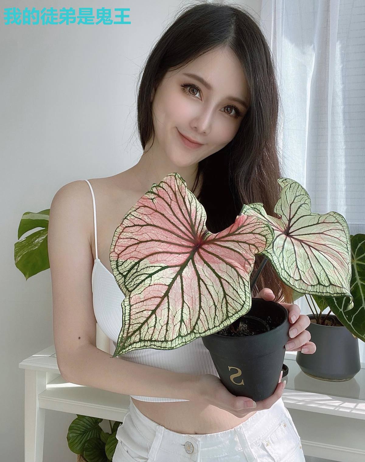 我的徒弟是鬼王