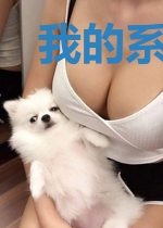 我的系统碎了一地