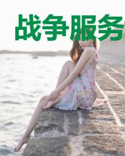 战争服务公司