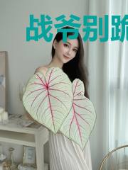 战爷别跪了,夫人携三子另嫁了顾忱淮