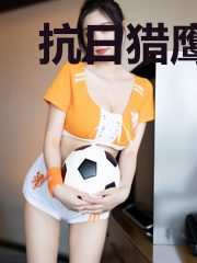 抗日猎鹰突击电视剧