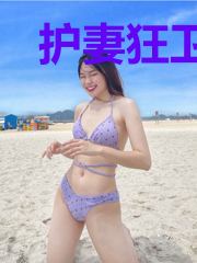 护妻狂卫叶锋