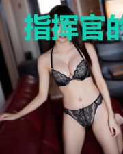 指挥官的无限打工之旅