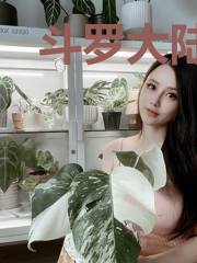 斗罗大陆我当为皇