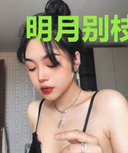 明月别枝集
