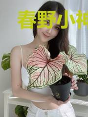 春野小神医(胖子小蛮腰)