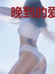 晚到的爱与归途