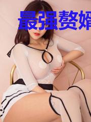 最强赘婿系统