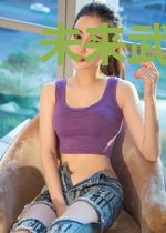 未来武斗传