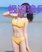 极道狼兵宁孤城姜若雪