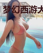 梦幻西游大玩家