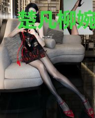 楚凡柳婉儿