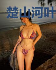 楚山河叶婉蓉