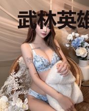 武林英雄之新星夺目