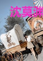沈莫渊林婉婷