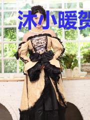 沐小暖贺子岳