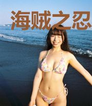 海贼之忍者号