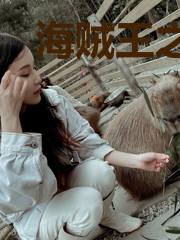 海贼王之吸收系统