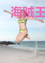 海贼王之征战天下