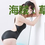 海贼:草帽团的画家