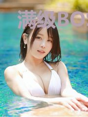 满级BOSS在各界种田