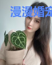 漫漫婚宠：国民男神娶回家