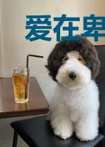 爱在卑微里盛开