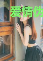 爱情伪装者