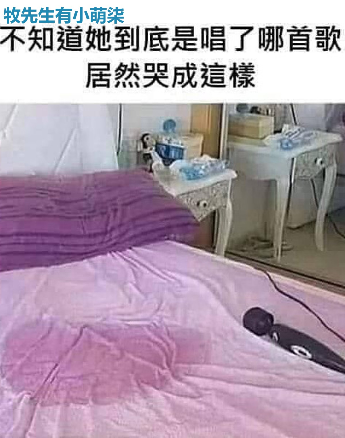 牧先生有小萌柒