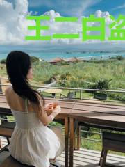 王二白盗墓