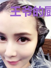 王爷的厨娘宠妃